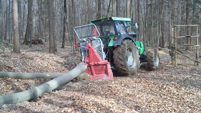 Rcken im Wald
